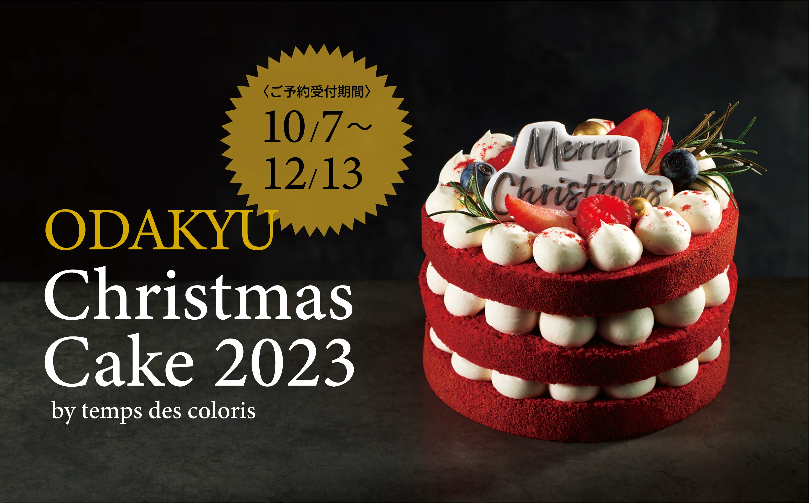 Christmas cake ODAKYU 1